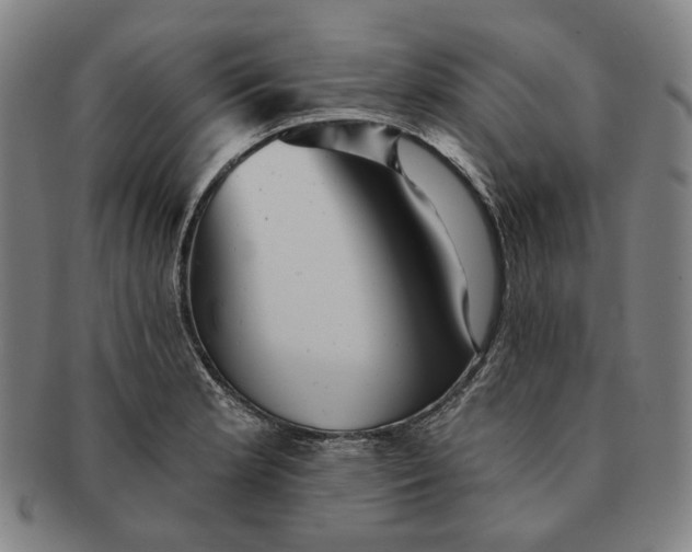 X0000091231181200708301509