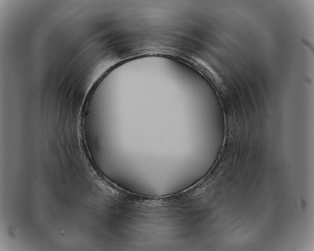 X0000091231182200708301509