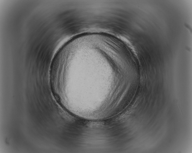 X0000091231183200708301509