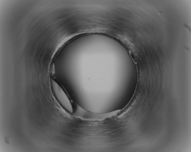 X0000091231184200708301509
