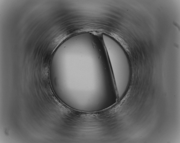 X0000091231185200708301509