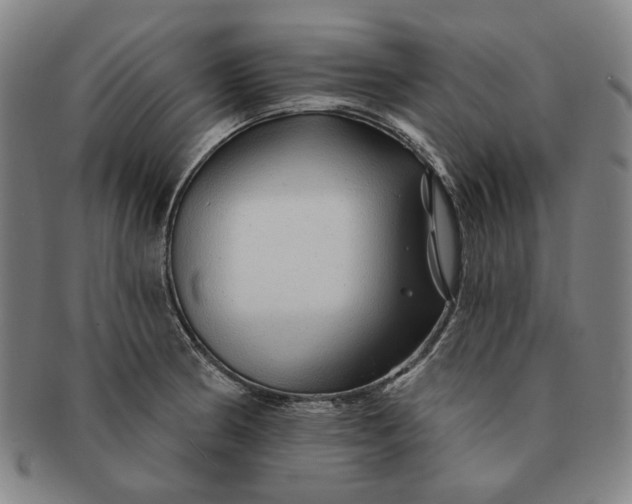 X0000091231186200708301509