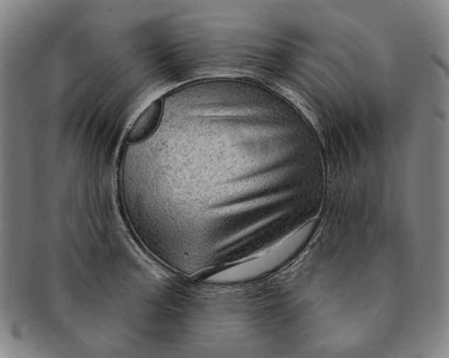 X0000091231187200708301509