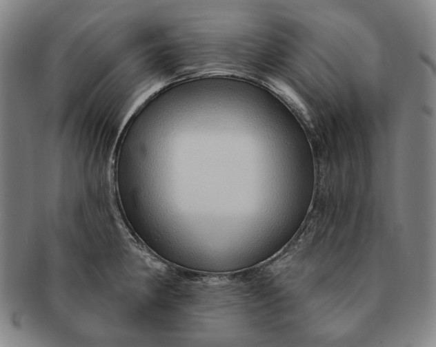 X0000091231190200708301509
