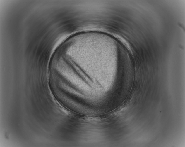 X0000091231191200708301509