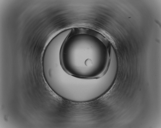 X0000091231192200708301509