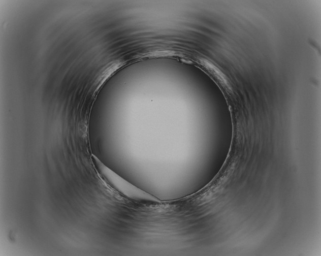 X0000091231193200708301509
