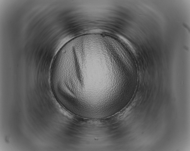X0000091231194200708301509