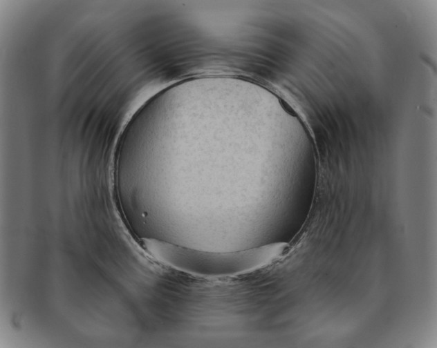 X0000091231195200708301508