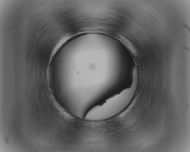 X0000091231196200708301508