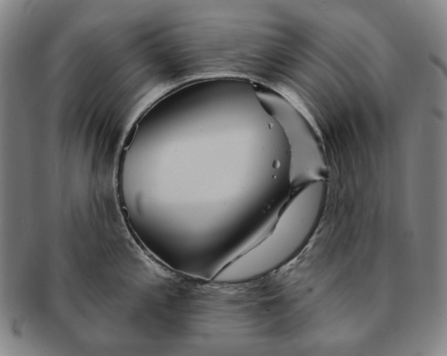 X0000091231197200708301508