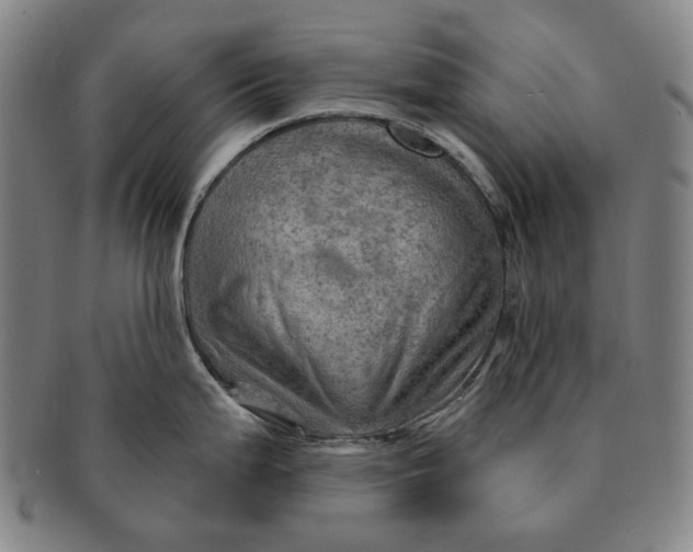 X0000091231199200708301508