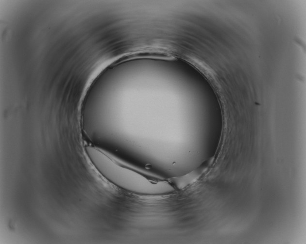 X0000091231200200708301508