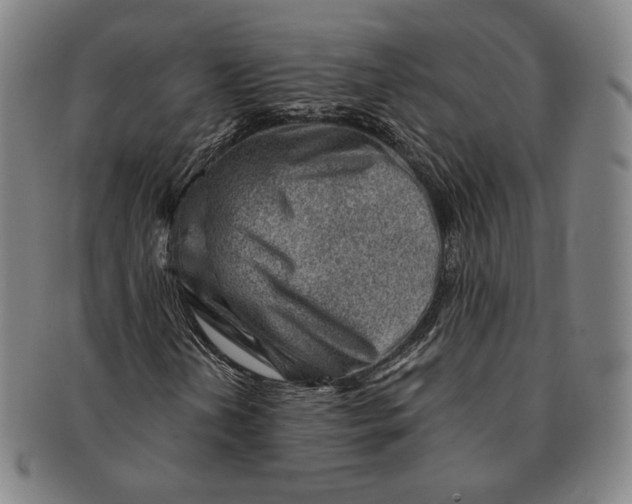 X0000091231202200708301508
