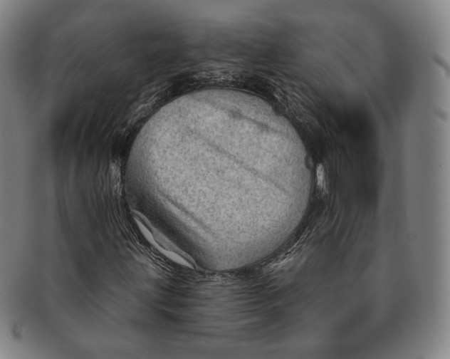 X0000091231203200708301508