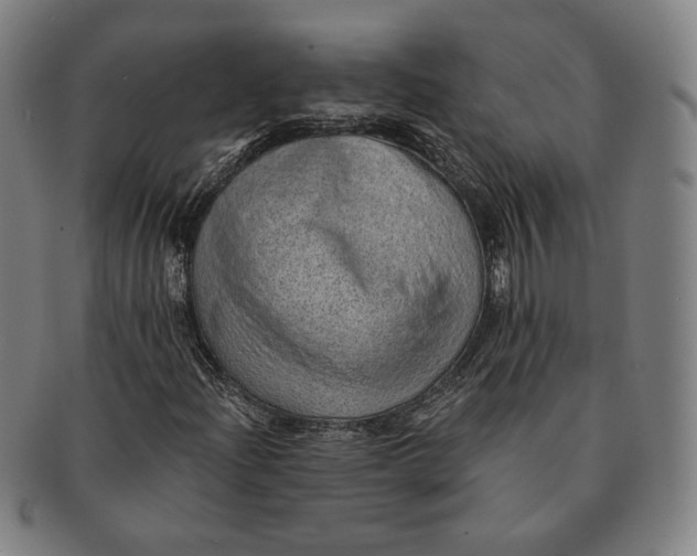 X0000091231204200708301508