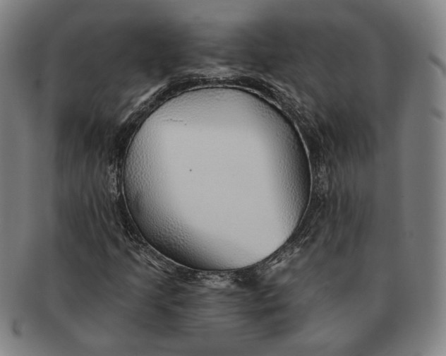 X0000091231205200708301508