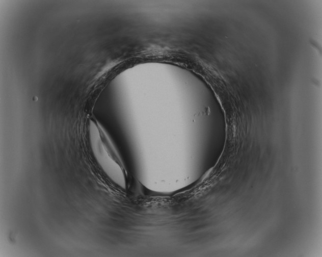 X0000091231206200708301508