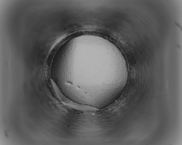 X0000091231208200708301508