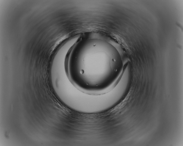 X0000091231210200708301508