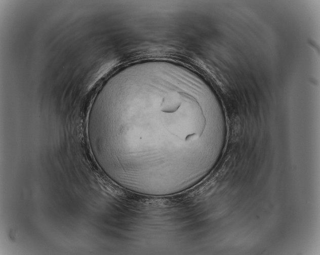 X0000091231211200708301508