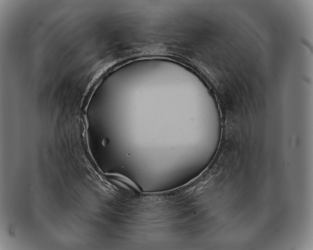 X0000091231212200708301508
