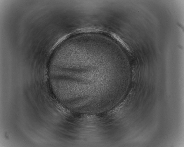 X0000091231213200708301508