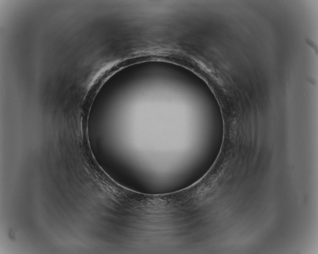 X0000091231214200708301508