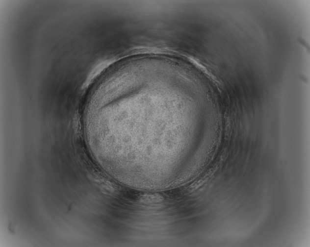 X0000091231215200708301508