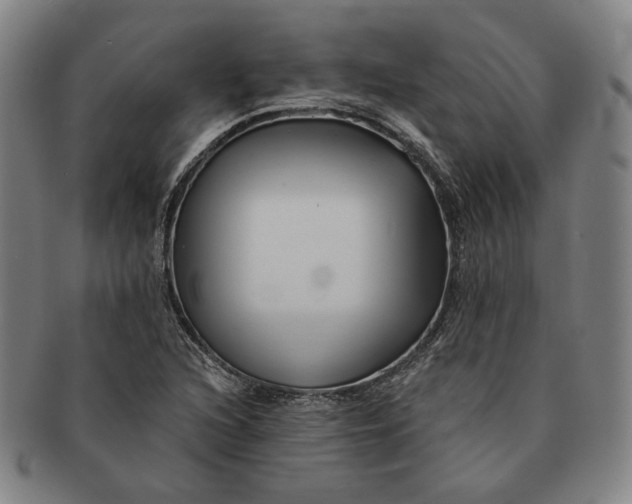 X0000091231216200708301508