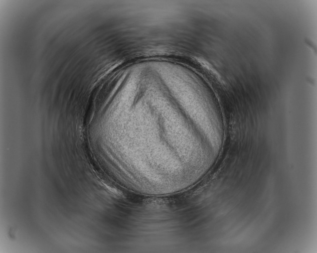 X0000091231217200708301508