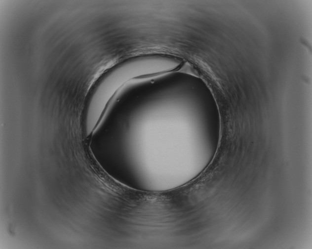 X0000091231218200708301508