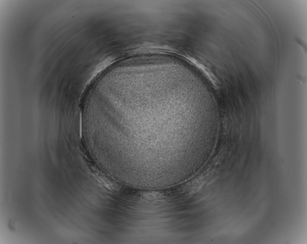 X0000091231219200708301508