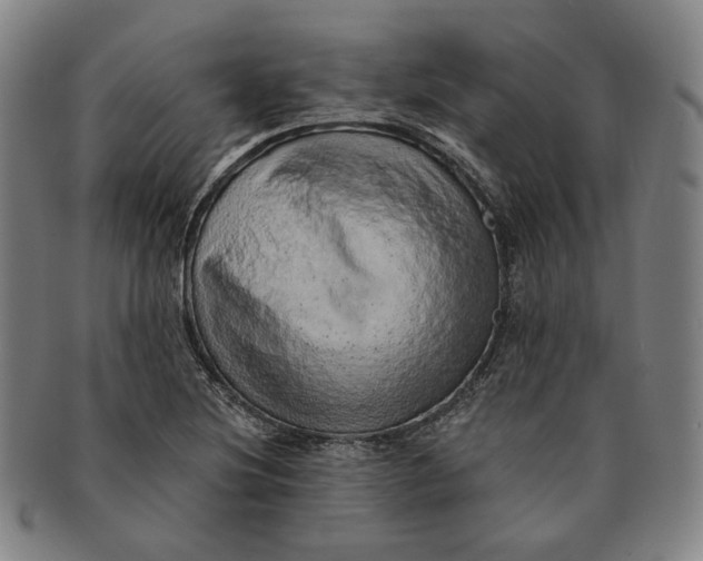 X0000091231220200708301508