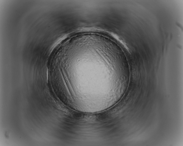 X0000091231221200708301508