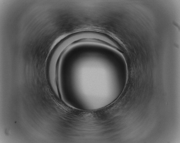 X0000091231222200708301508