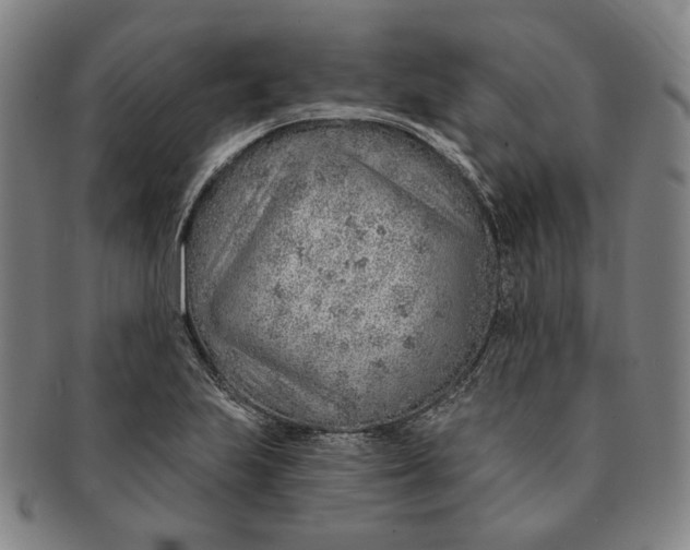 X0000091231223200708301508