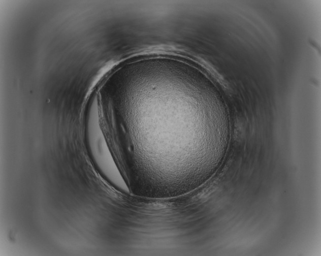 X0000091231224200708301508