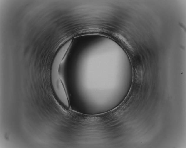 X0000091231225200708301508