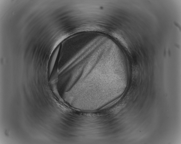 X0000091231226200708301508