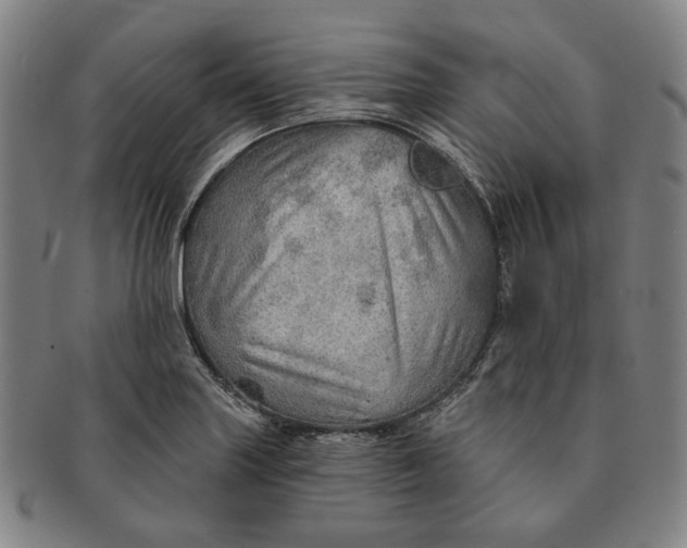 X0000091231227200708301508