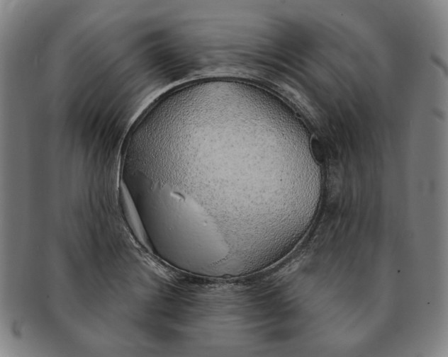 X0000091231228200708301508