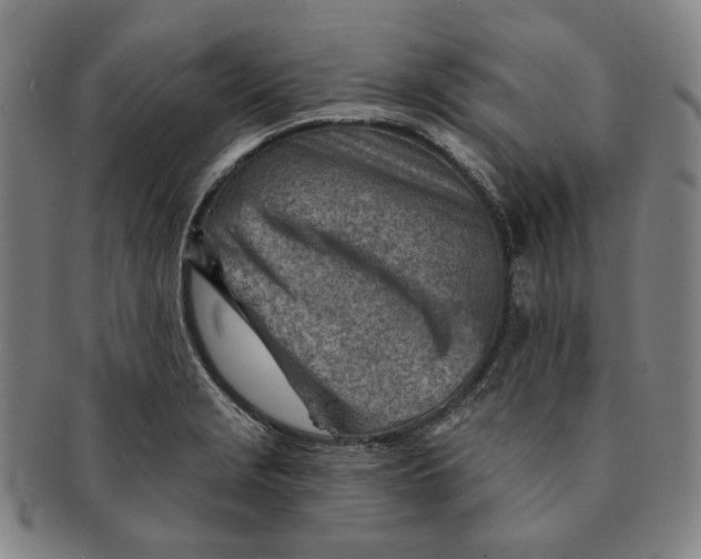 X0000091231229200708301508