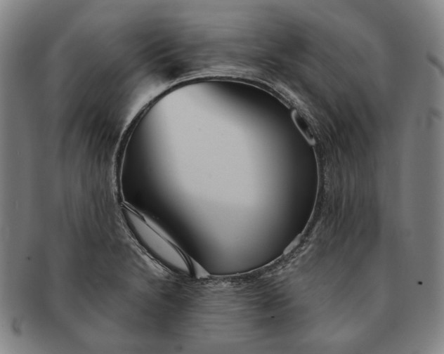 X0000091231230200708301508