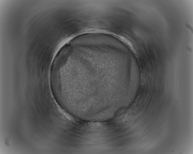 X0000091231231200708301508