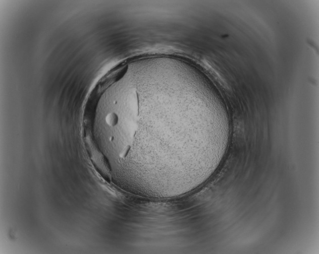 X0000091231232200708301508