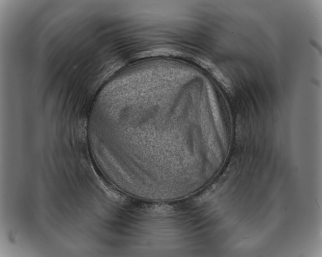 X0000091231233200708301508