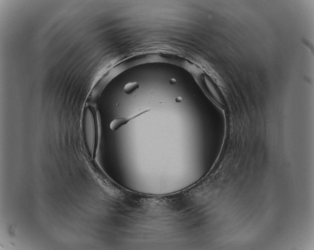X0000091231234200708301508