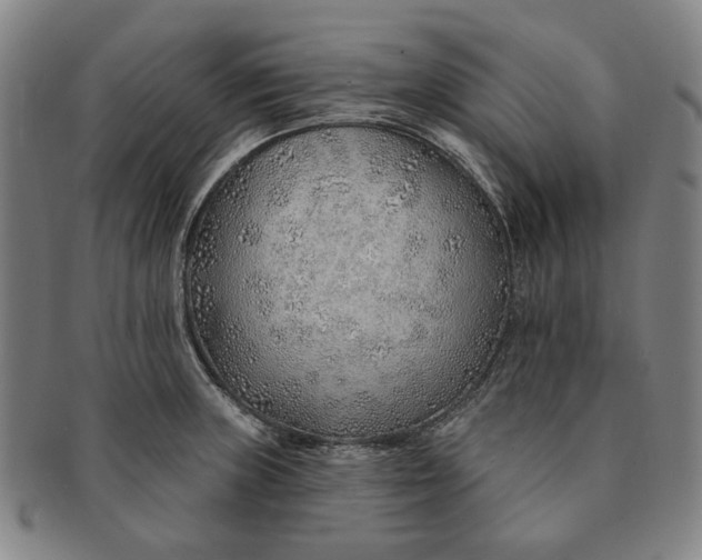 X0000091231235200708301508