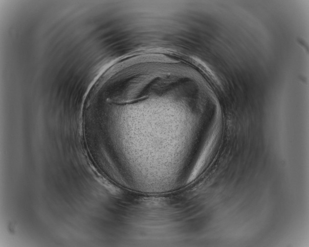 X0000091231236200708301508